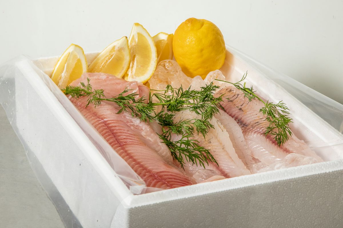 raakoja kalafileitä sekä tilliä ja sitruunaa kalalaatikossa